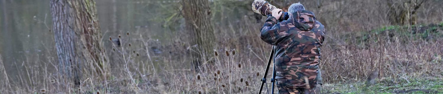 3 fugle der kommer på besøg i vinterhalvåret